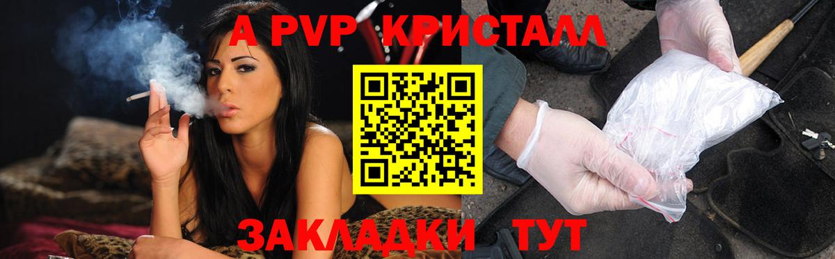 Тихвин  A PVP крисы CK  A PVP СК  Вход с VPN  A PVP СК КРИС 