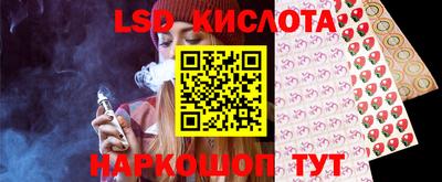 гашик Новодвинск