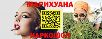 гашик Новодвинск