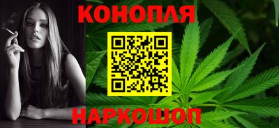 гашик Новодвинск
